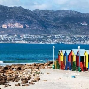 Cape Peninsula Tour